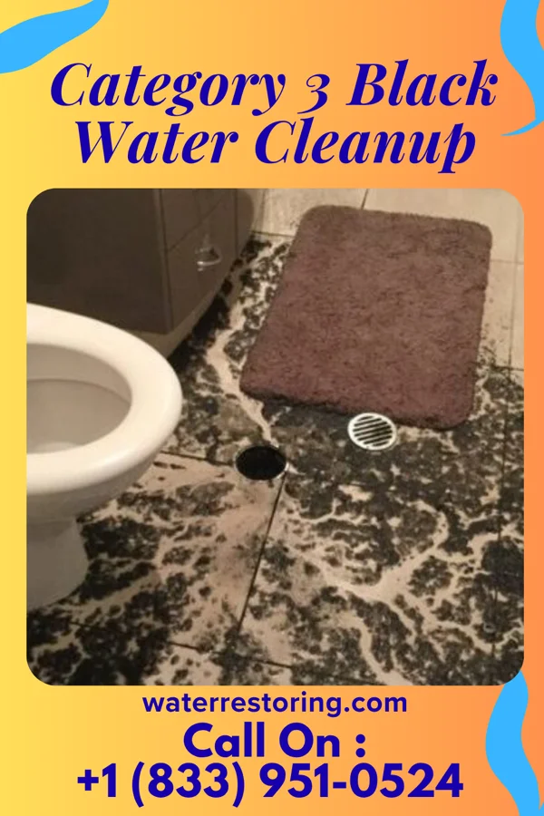 Category 3 Black Water Cleanup in Bourbon, IN
