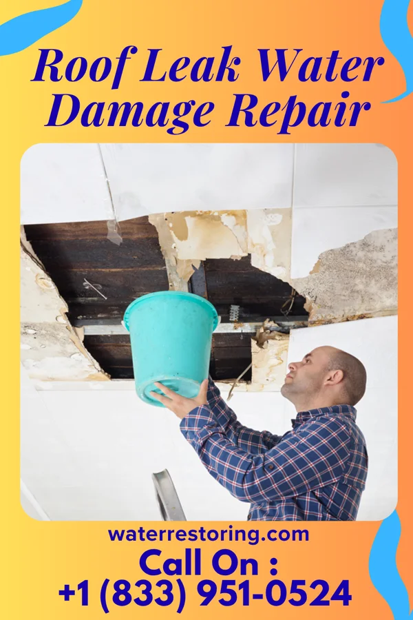 Roof Leak Water Damage Repair in Bourbon, IN