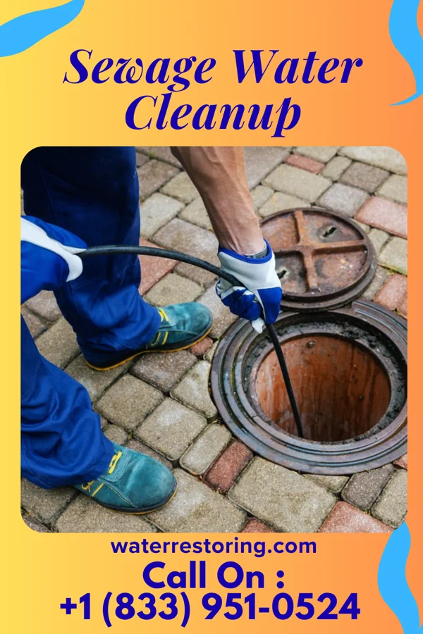 Sewage Water Cleanup in Bourbon, IN